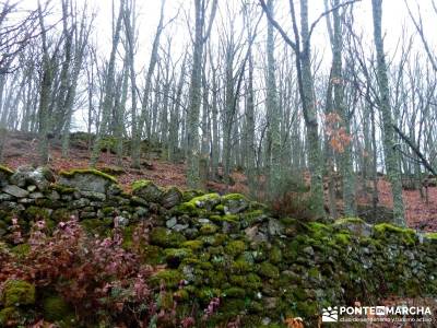 Valle del Ambroz-Sierra de Bejar - Gredos; viajes de senderismo; viajes puente del pilar;excursiones